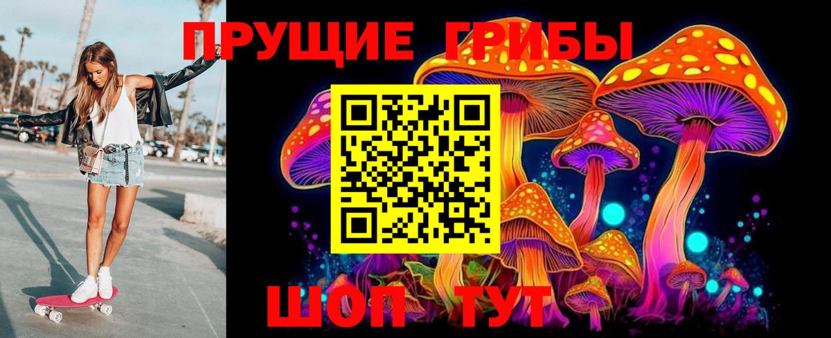 Приморско-Ахтарск  Псилоцибиновые грибы прущие грибы  Вход с VPN 