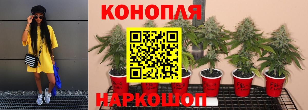 Марихуана ГИДРОПОН  Вход с VPN  МАРИХУАНА планчик  Приморско-Ахтарск 